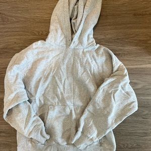 Aritzia boyfriend hoodie
